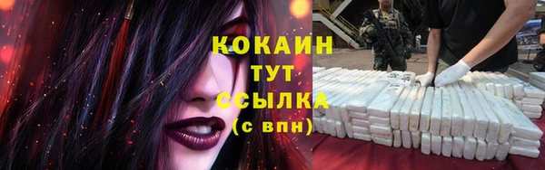 спайс Баксан