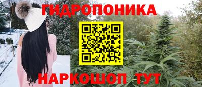 прущие крисы Гусь-Хрустальный
