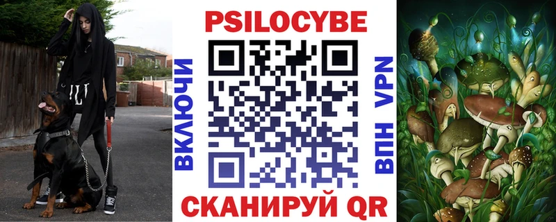 omg tor  Коммунар  Псилоцибиновые грибы Psilocybine cubensis 