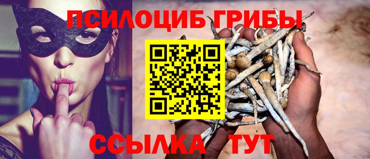 Галлюциногенные грибы GOLDEN TEACHER Коммунар
