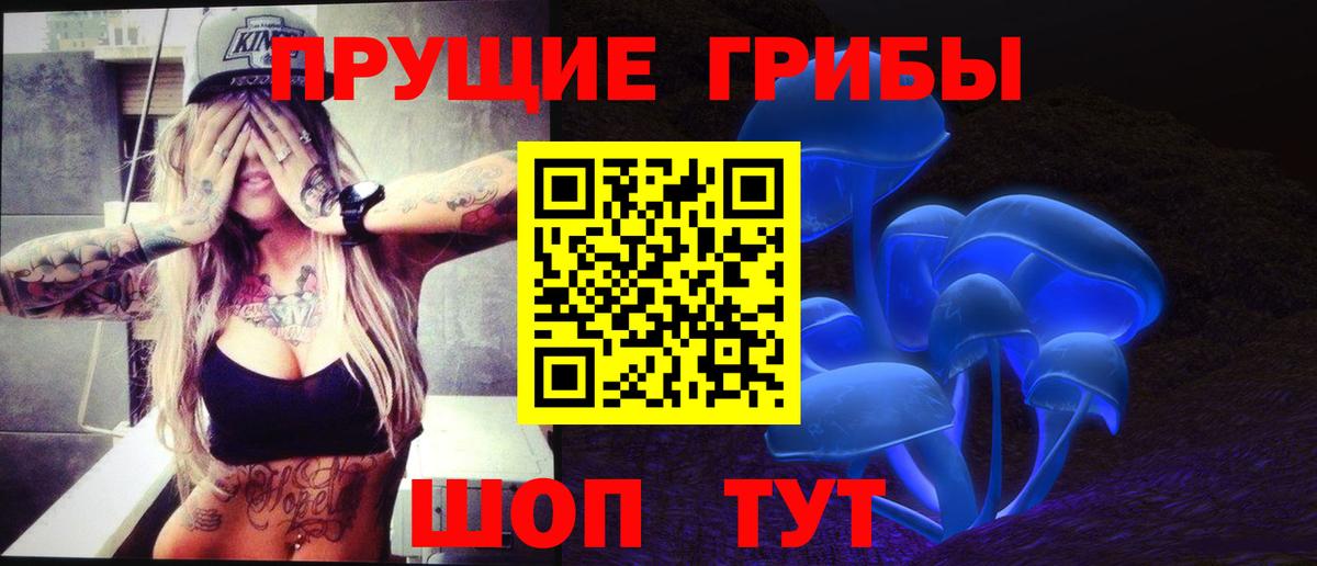 Галлюциногенные грибы Cubensis  Вход с VPN  Коммунар 