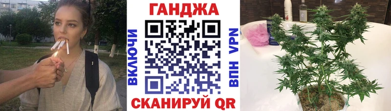 как найти наркотики  Коммунар  Бошки Шишки сатива 